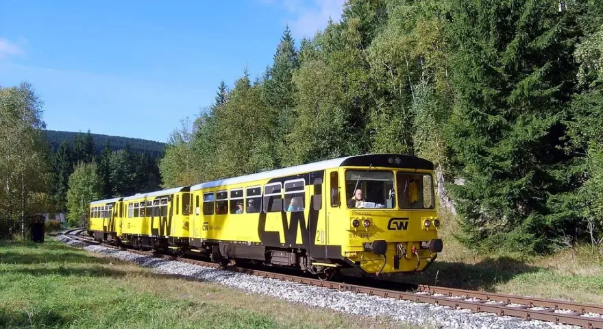 Żółty pociąg turystyczny jedzie przez malowniczy, leśny krajobraz.