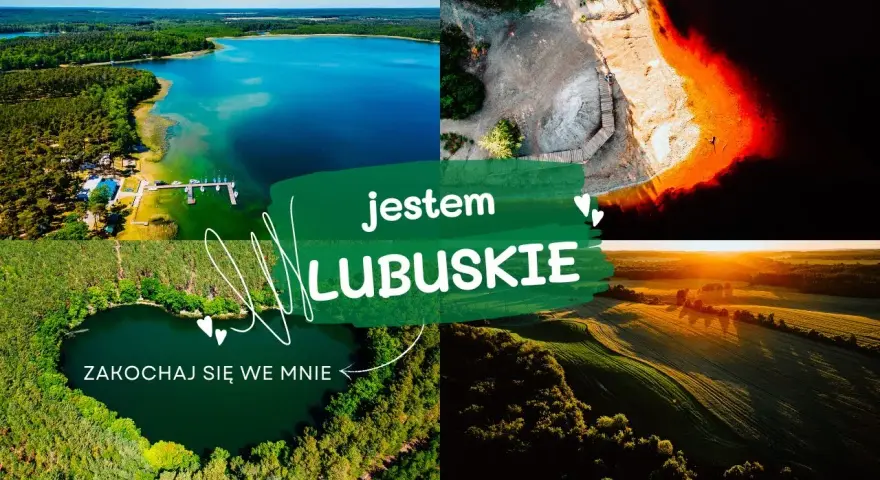 Lubuskie: Co zobaczyć? Od winnic po bunkry gotowy plan wycieczki!