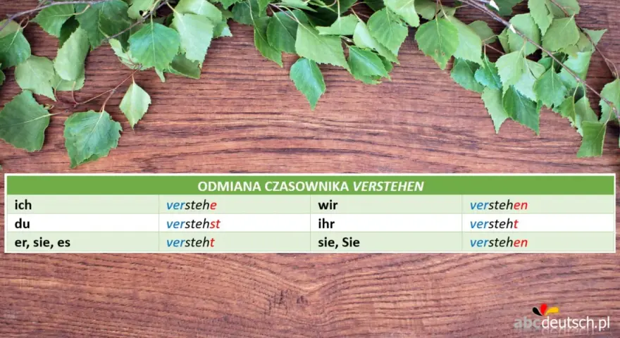 Tabela z odmianą czasownika "verstehen" po niemiecku. Ucz się, jak "verstehen" zmienia się w zależności od osoby.