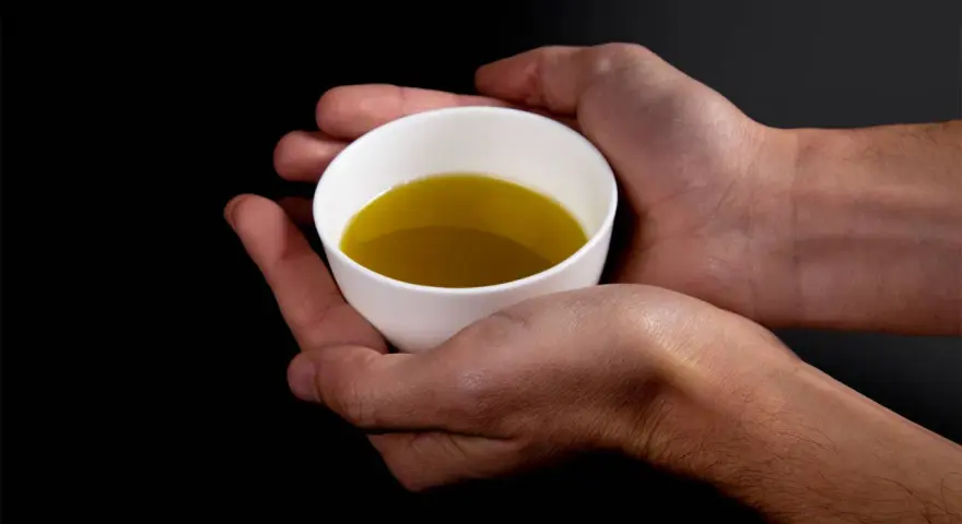 Mani che sorreggono una tazzina bianca con olio extravergine di oliva dorato. Un gesto per imparare come riconoscere olio extravergine di oliva.