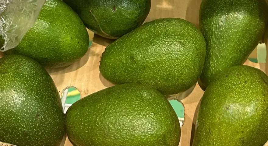 Siedem dojrzałych awokado w kartonie. Idealny czas na guacamole, bo to sezon na awokado!