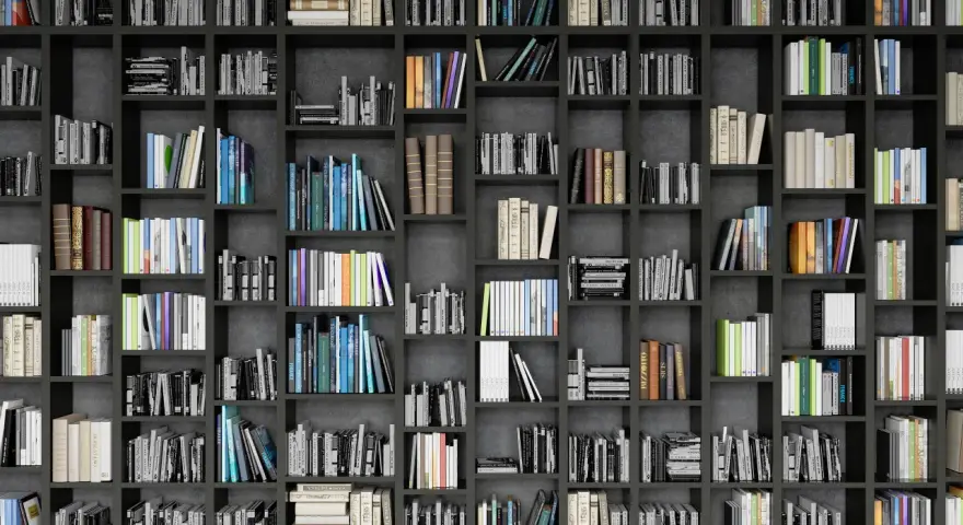 Eine Wand voller Bücherregale mit vielen Büchern in verschiedenen Farben und Größen.