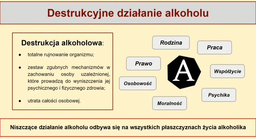 Picie alkoholu za barem? Prawo, konsekwencje, profesjonalizm