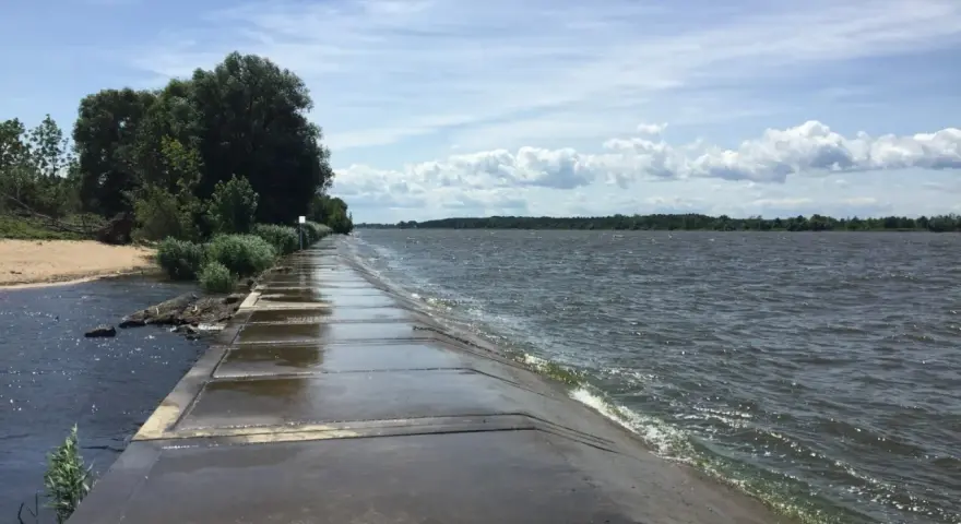 Betonowy falochron w miejscu ujścia Wisły. Woda faluje, a po lewej stronie widać piaszczystą plażę i zieleń.