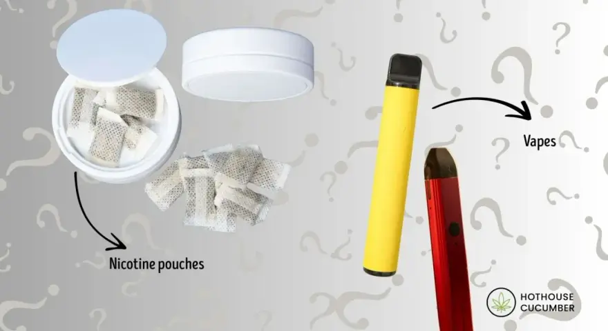 Bolsitas de nicotina y vapes. ¿Cuánto es el máximo de nicotina en un vape?