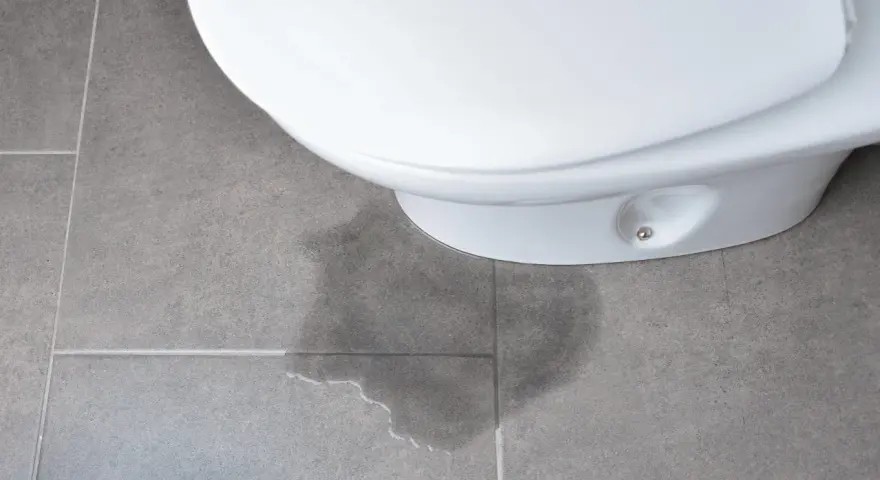 A wet patch on the floor indicates the toilet leaking at the base.