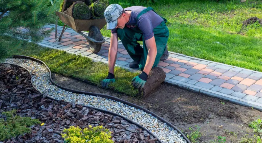 Ogrodnik układa trawę z rolki, tworząc piękny trawnik. Sprawdź atrakcyjną trawę z rolki cenę za m2!