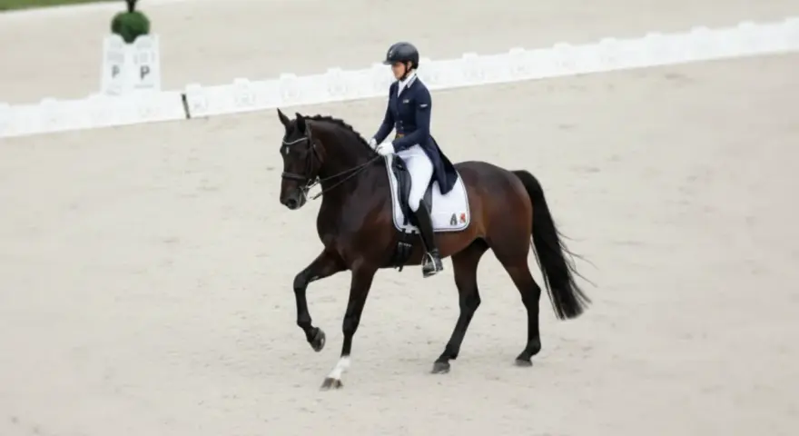 Une cavalière en tenue d'équitation exécute une figure sur son cheval brun. Elle fait partie de la liste des cavaliers français en compétition.