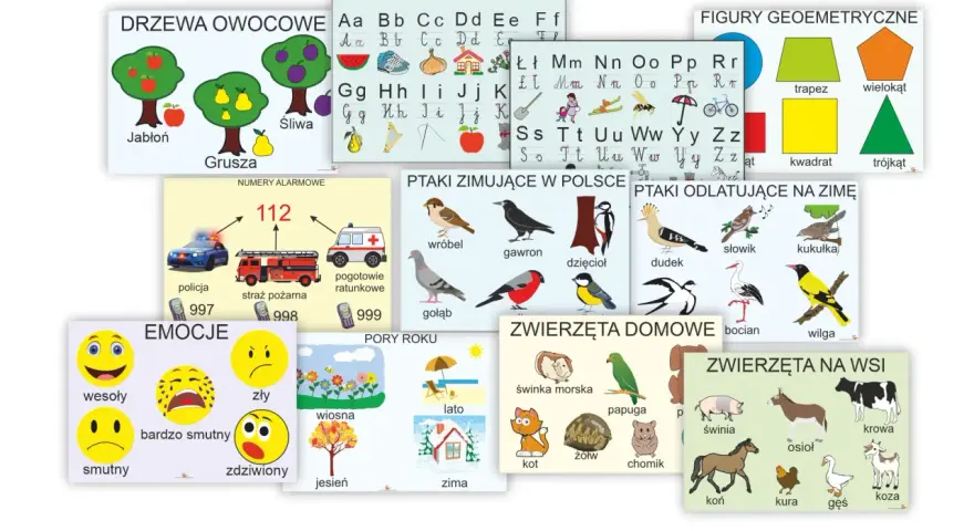 Zestaw plansz edukacyjnych dla klas 1-3: owoce, litery, figury, ptaki, emocje, pory roku, zwierzęta.
