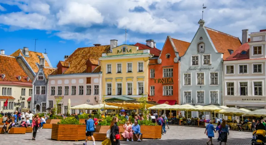 Kolorowe kamienice na placu w Tallinie, stare miasto tętni życiem. Ludzie spacerują, siedzą w kawiarniach pod żółtymi parasolami.