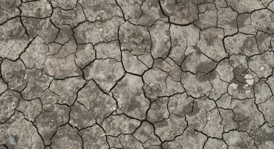 Sucha, spękana ziemia, jak tekst psalmu 63, woła o deszcz.