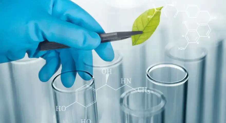 Biologia praca po studiach: jak uniknąć trudności w zatrudnieniu