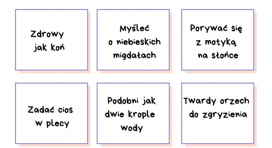 Zestawienie frazeologizmów: "zdrowy jak koń", "myśleć o niebieskich migdałach", "porywać się z motyką na słońce", "zadać cios w plecy", "podobni jak dwie krople wody", "twardy orzech do zgryzienia".