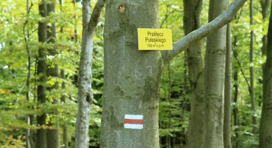 Szlak na Lackową prowadzi przez bukowy las. Na drzewie tabliczka z nazwą Przełęcz Pułaskiego i znak szlaku.