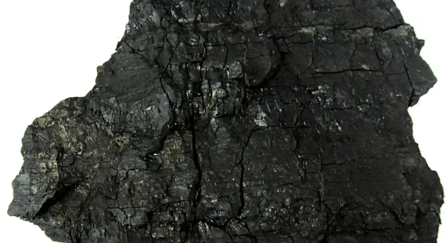 Okres geologiczny w którym powstał węgiel kamienny – tajemnice karbonu