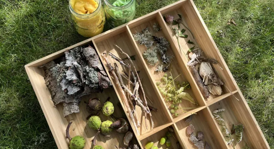 Lådor med naturmaterial för att leka med lera. Här finns kottar, kastanjer, kvistar, löv, stenar och blommor.