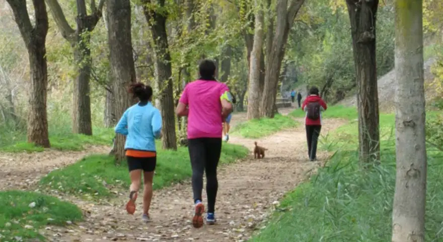 Personas corriendo por un sendero arbolado, disfrutando del senderismo en Alcalá de Henares. Un perro les acompaña.
