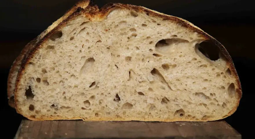 Schnitt eines rustikalen Pain au Levain mit luftiger Krume und knuspriger Kruste.