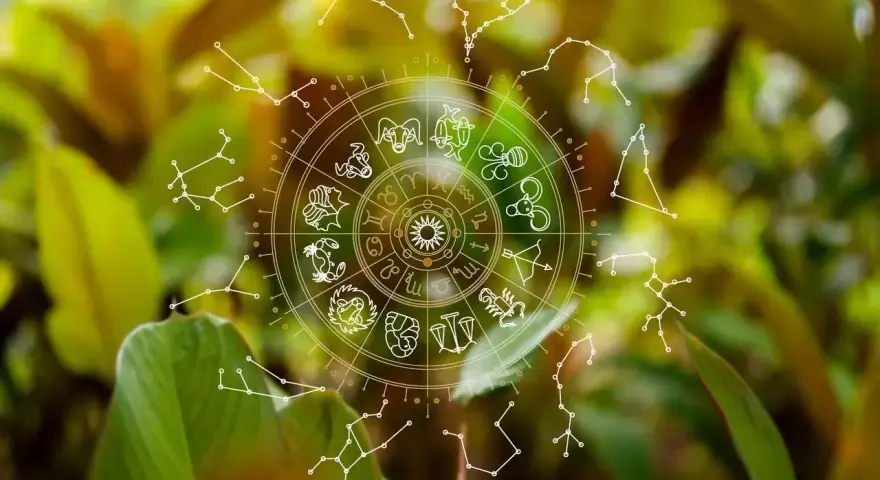 Koło zodiaku i konstelacje na tle zieleni. Symbolika 11. domu astrologii w naturze.