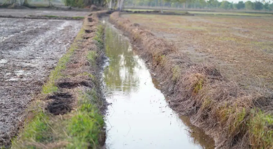 Canale di irrigazione in un campo argilloso, utile per capire come trovare acqua in un terreno argilloso.