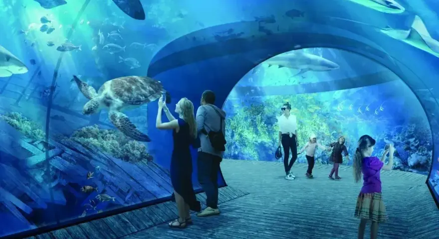 Rodzina podziwia żółwia i rekiny w oceanarium w Gdańsku, robiąc zdjęcia.
