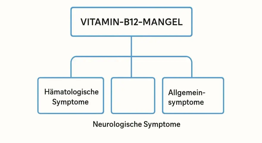 Flussdiagramm zeigt: Vitamin-B12-Mangel mit hämatologischen, neurologischen und allgemeinen Symptomen.