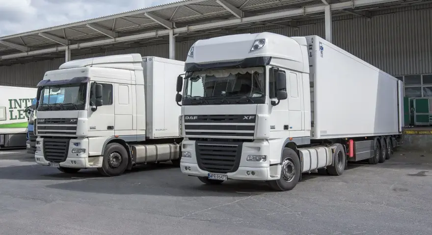 Dwa białe ciągniki siodłowe DAF XF, gotowe do trasy. Posiadanie prawa jazdy kat C+E otwiera drogę do takich pojazdów.