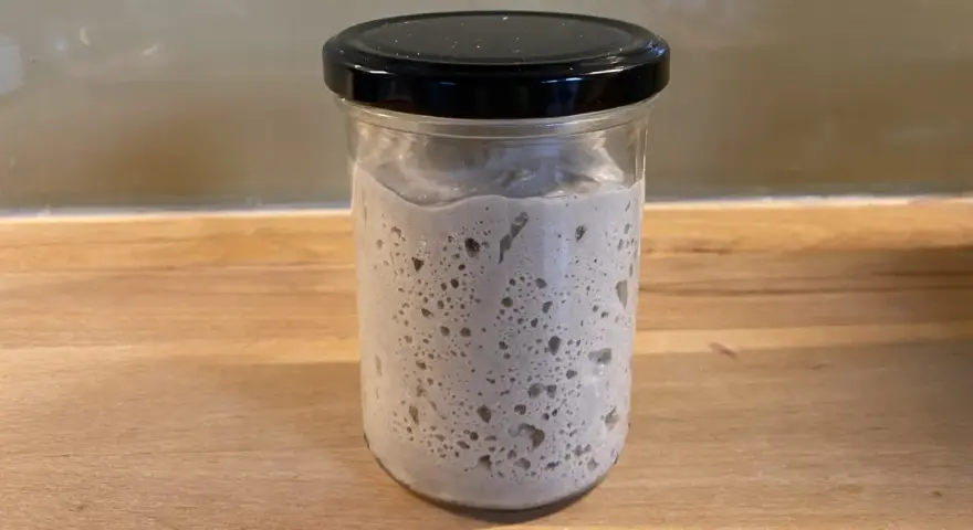 Ein Glas mit Sauerteig, dessen Konsistenz durch viele kleine Bläschen und eine luftige Struktur gekennzeichnet ist.