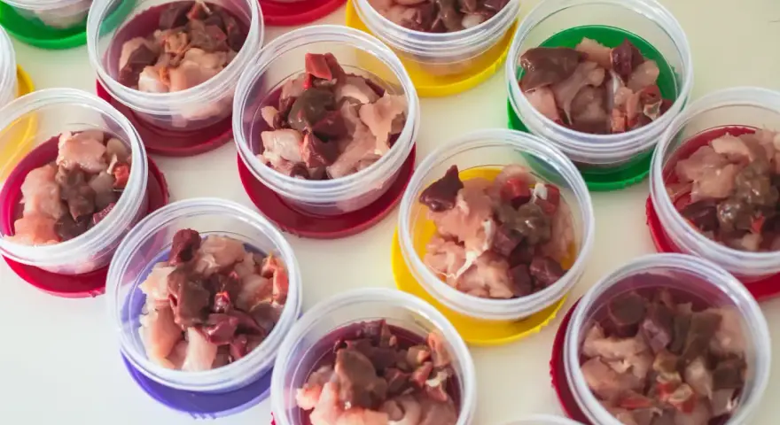 Plusieurs petits pots transparents remplis de morceaux de viande crue, prêts pour un repas BARF pour chien.