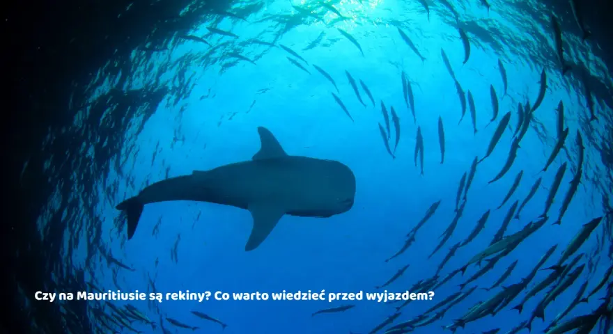 Mauritius czy jest bezpiecznie? Odkryj, co musisz wiedzieć przed wyjazdem