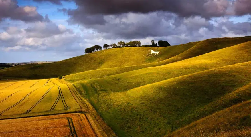 Cheval blanc sculpté sur une colline verdoyante, baignée par la lumière dorée d'une photo au coucher du soleil. Champs de blé dorés au premier plan.