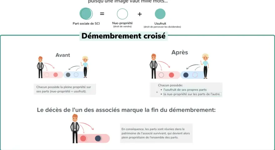 Schéma expliquant le démembrement croisé de parts de SCI. Avant, chacun possède la pleine propriété. Après, l'usufruit et la nue-propriété sont séparés.