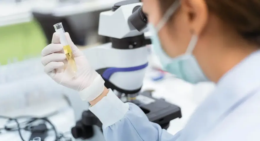 Antybiotyki a badania krwi i moczu: kiedy wyniki są pewne?