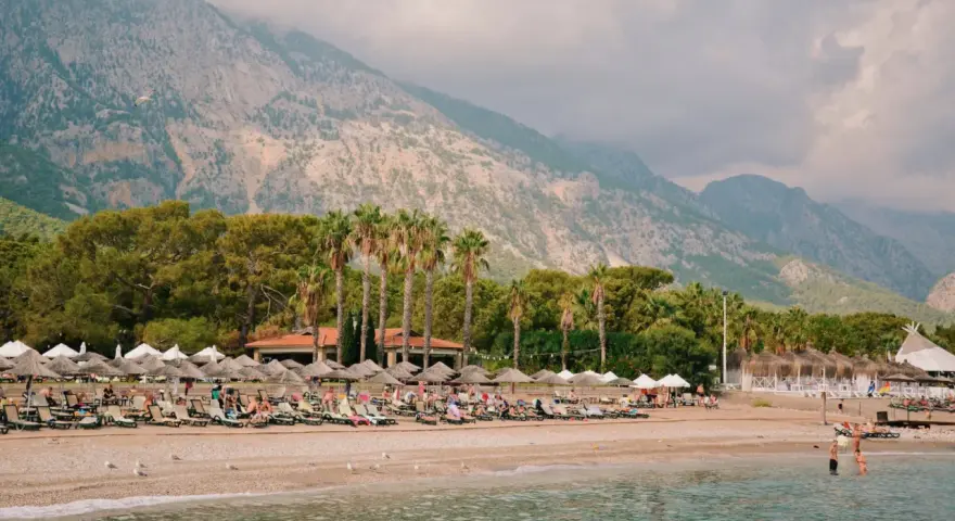 Plaża w Turcji z leżakami, palmami i górami w tle.