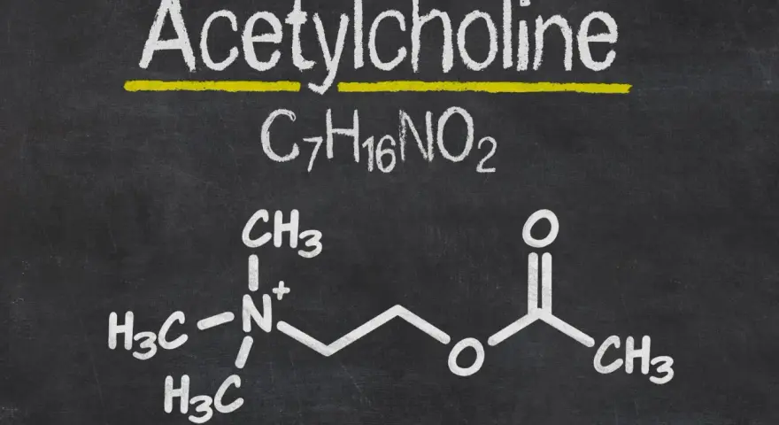 Struktura chemiczna acetylocholiny na tablicy.