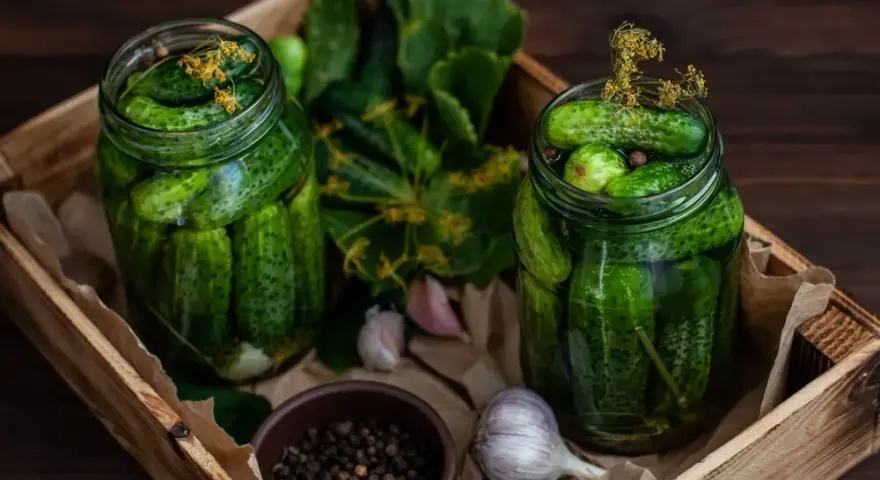 Jak przechować koper do kiszenia ogórków, by zachować jego aromat?