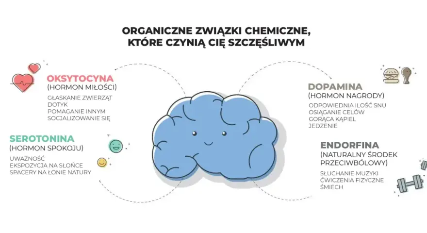 Dopamina sprawia, że czujemy nagrodę. Obrazek przedstawia mózg i hormony szczęścia: oksytocynę, serotoninę, dopaminę i endorfiny.