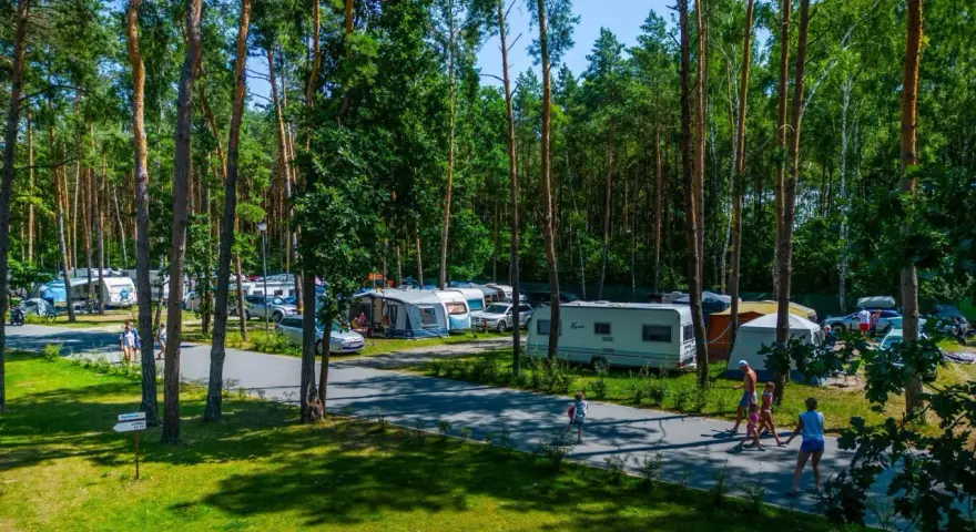 Rodzina spaceruje po zagłębionym polu namiotowym wśród sosen. Widać kampery i namioty.