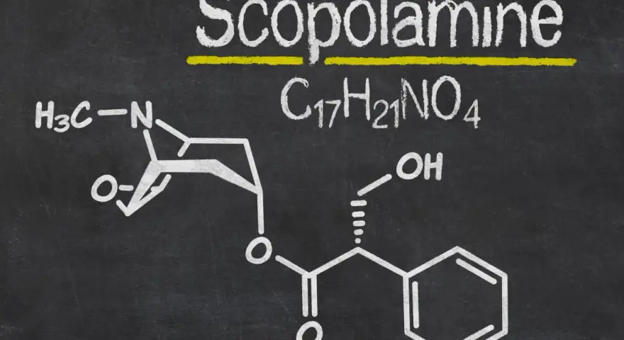Struktura chemiczna skopolaminy, C₁₇H₂₁NO₄, narysowana kredą na tablicy.