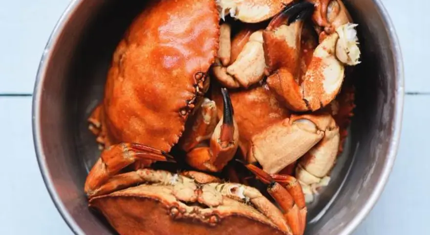 Un cuenco metálico lleno de buey de mar cocido, con sus caparazones anaranjados y pinzas visibles.
