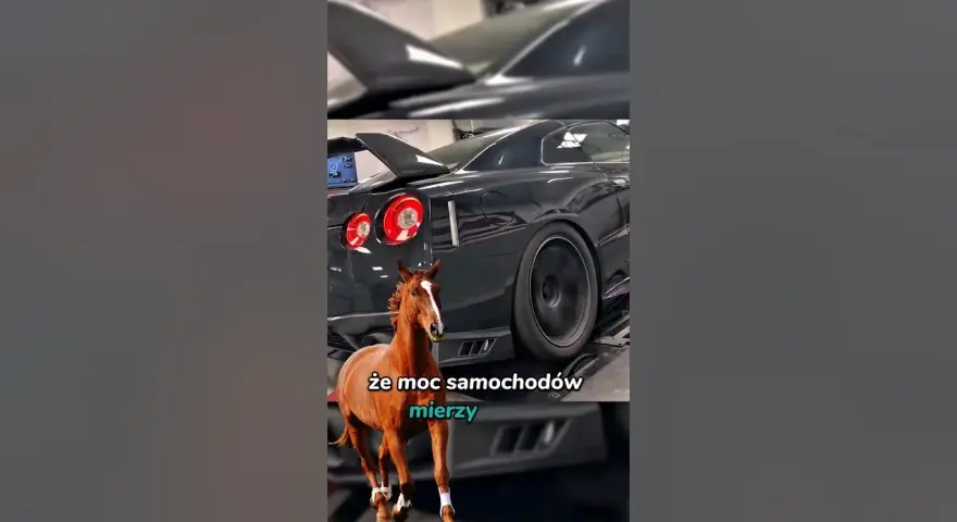 Ile koni mechanicznych ma Lamborghini? Zaskakujące różnice między modelami