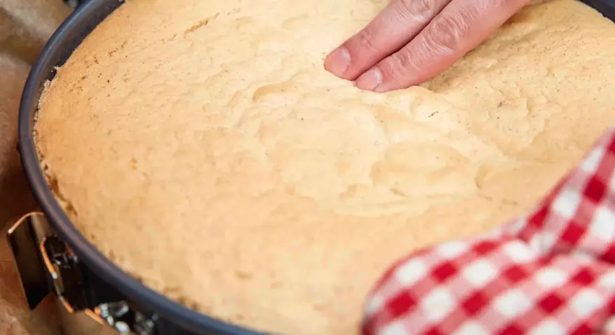 Ein Finger prüft die Elastizität eines frisch gebackenen Wiener Bodens. Das perfekte Wiener Boden Rezept gelingt so!
