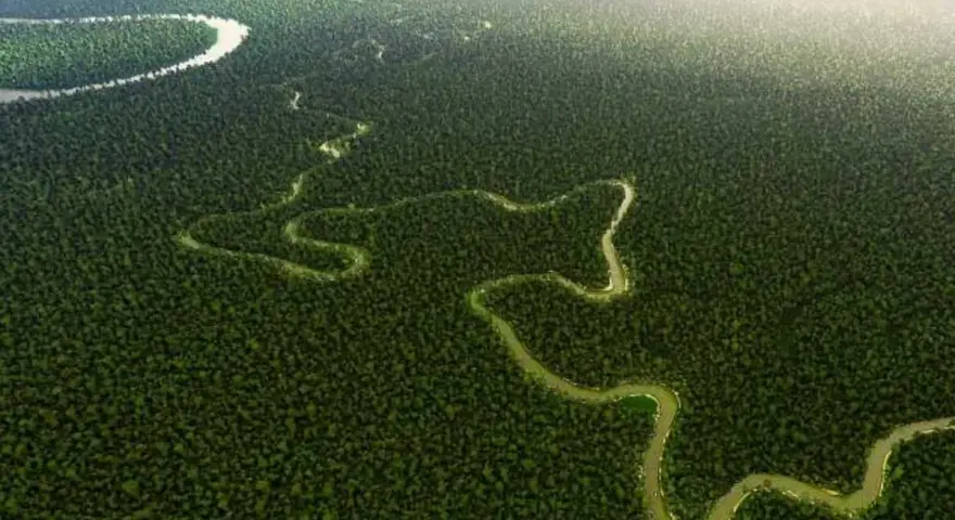 Un río serpenteante atraviesa una densa selva verde, evocando la majestuosidad del segundo río más largo de Sudamérica.