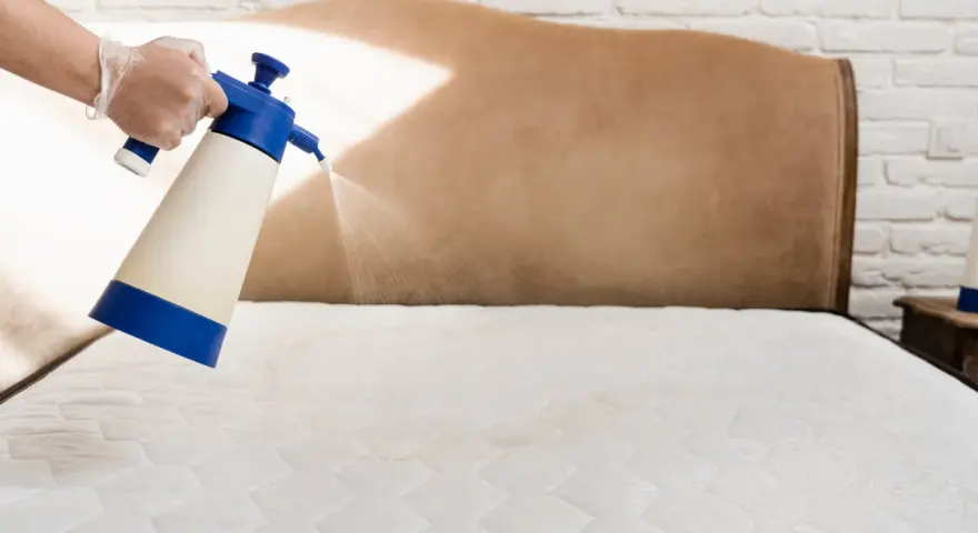 Żółte plamy na materacu? Usuń je skutecznie i bezpiecznie!