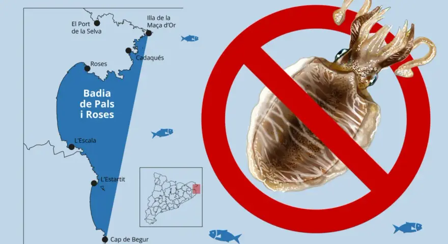 Prohibida la pesca de la sepia en la Badia de Pals i Roses. Mapa de la costa catalana con señal de prohibido sobre una sepia.