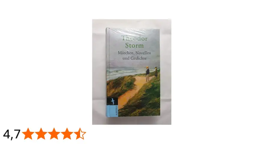Buchcover von Theodor Storms "Märchen, Novellen und Gedichte" mit Küstenlandschaft und zwei Figuren.