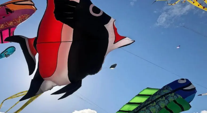 Bunte Drachen in Fischform tanzen am Himmel beim Fehmarn Drachenfest. Ein großer roter und schwarzer Fischdominiert, daneben ein grüner Fisch und ein gelber Tintenfisch.