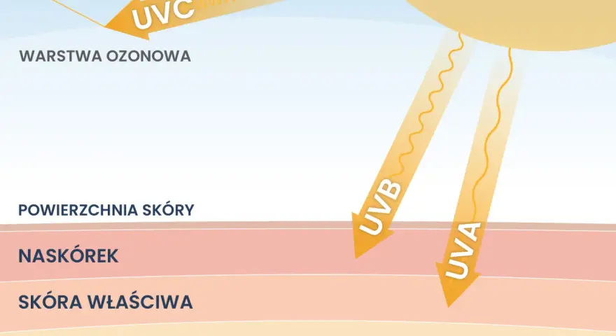 Promienie UV, co to? UVC odbija się od warstwy ozonowej, UVA i UVB docierają do skóry, naskórka i głębiej.