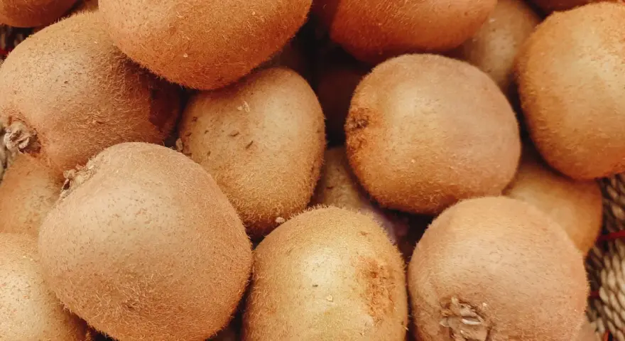Kaloryczność kiwi: 46 kcal! Odchudzanie, odporność, lepszy sen.