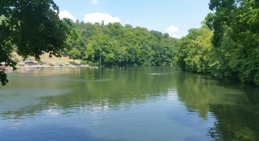 Ein sonniger Tag am Badesee Pforzheim. Grüne Bäume säumen das Ufer, während einige Schwimmer im Wasser ihre Bahnen ziehen.